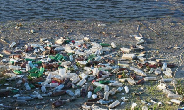ORF TV-Bericht: Newton – Plastik in den Weltmeeren